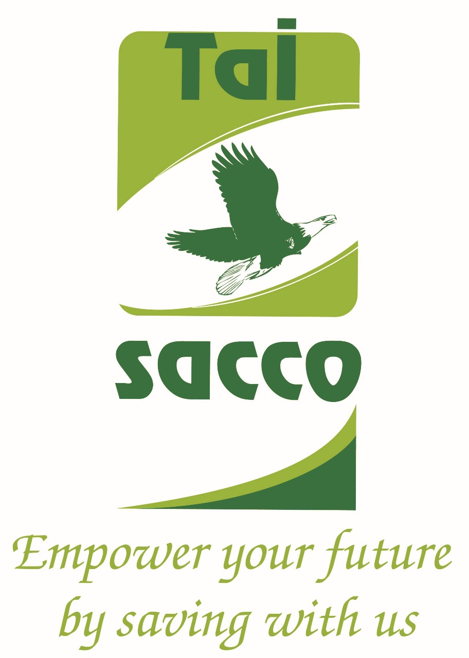 Tai Sacco Logo